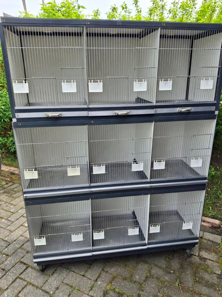 Broedkooien, Dieren en Toebehoren, Vogels | Hokken en Kooien, Ophalen, Kunststof, Broedkooi of Kweekkooi
