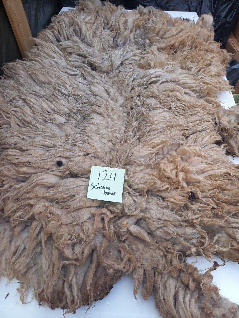 nr 124 Geschoren vacht van een Schoonebeker heideschaap, Ophalen of Verzenden, Gebruikt