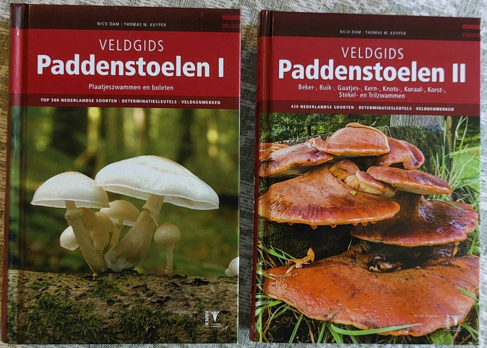 Veldgids Paddenstoelen I & II - Nico Dam & Thomas W. Kuyper, Boeken, Ophalen of Verzenden, Zo goed als nieuw, Natuur algemeen