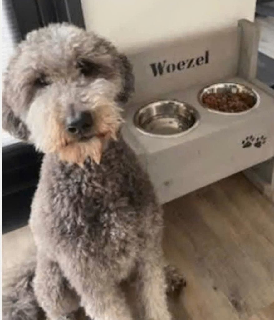 Voer-en drinkbak voor hond met GRATIS NAAM erop, Ophalen of Verzenden, Nieuw