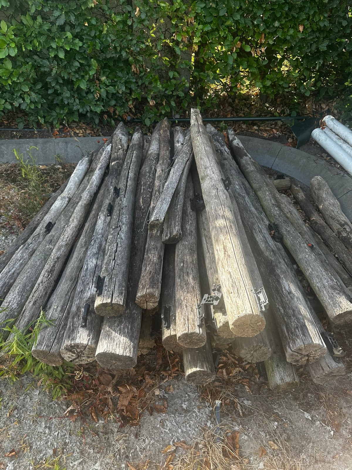 Kastanje weidepalen 140 cm - 160 cm, Ophalen, Gebruikt, Minder dan 180 cm, Palen