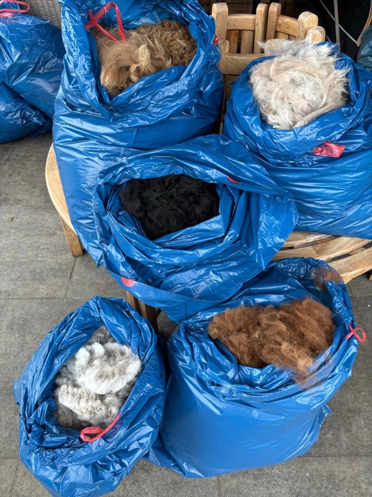 Alpaca Wol, Hobby en Vrije tijd, Ophalen, Spinwol