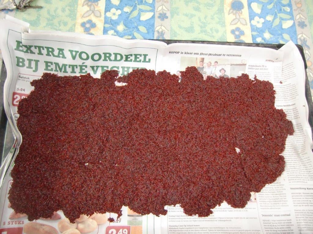 verse rode en witte muggenlarven, tubifex, Overige typen, Zoetwatervis