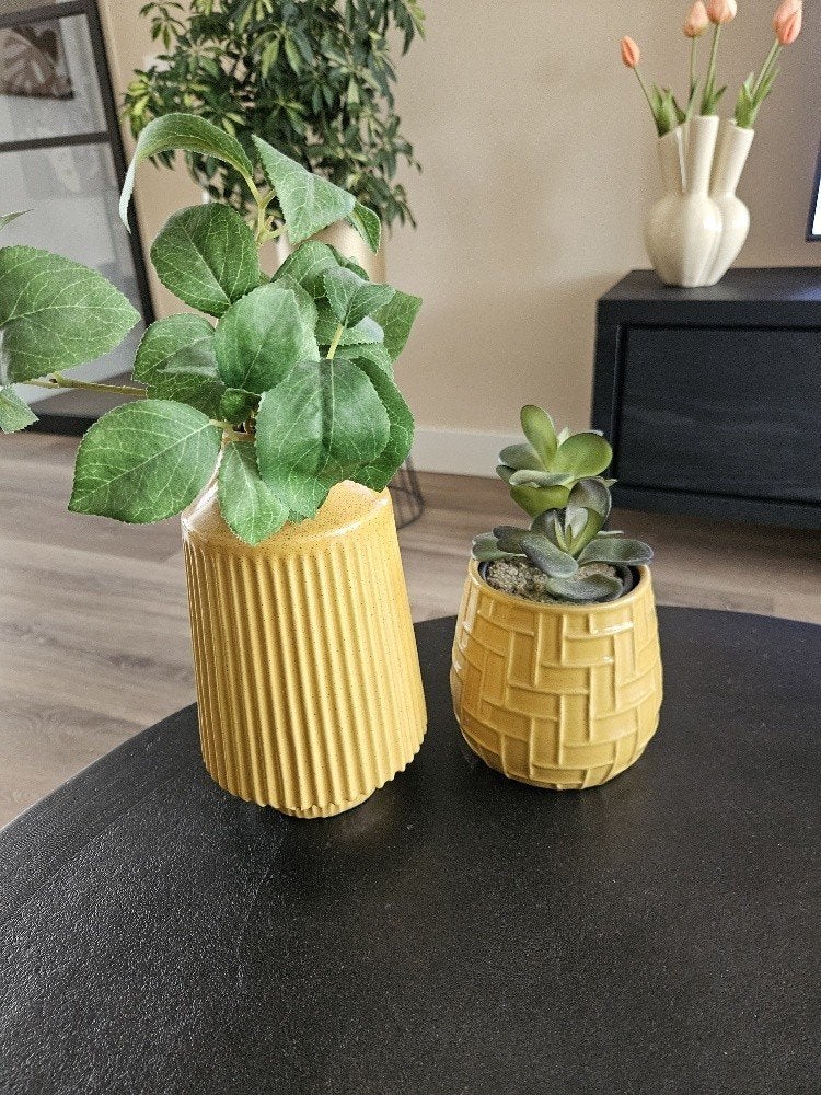 2 oker gele vaasjes incl plantjes, Perfecte staat, Huis en Inrichting, Woonaccessoires | Vazen, Ophalen, Geel, Aardewerk of Porselein
