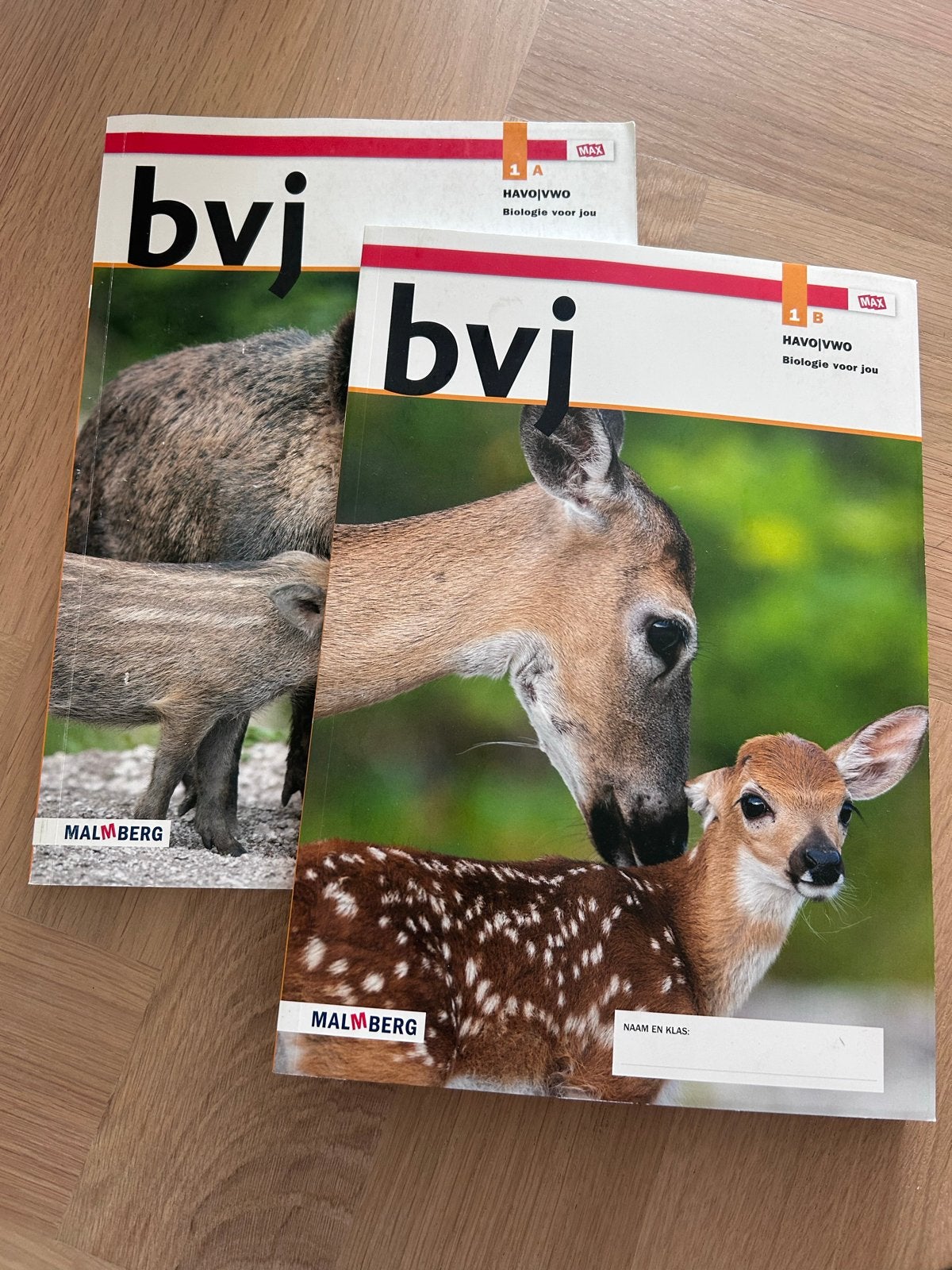 BVJ Biologie voor jou Havo/Vwo 1a en 1b, Ophalen of Verzenden, Zo goed als nieuw, HAVO, Biologie