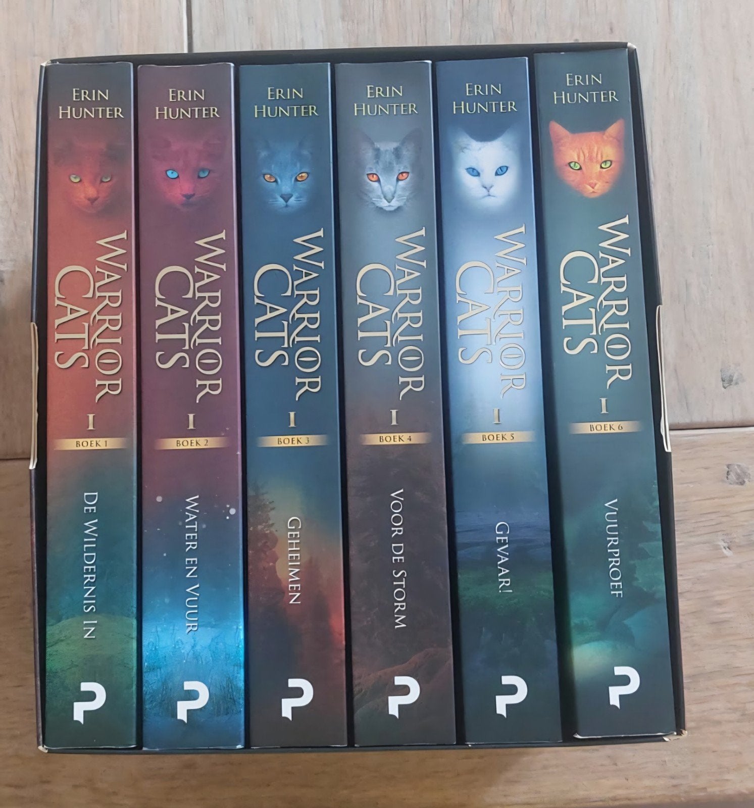 Warrior Cats Boekenset - Deel 1 t/m 6, Boeken, Erin Hunter, Ophalen of Verzenden, Zo goed als nieuw, Fictie