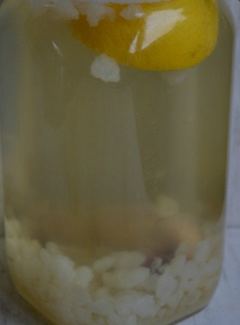Water kefir, Diversen, Levensmiddelen, Ophalen