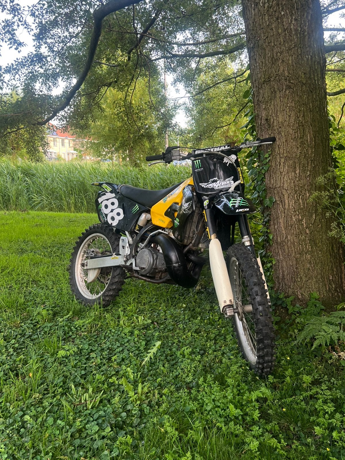Suzuki rm 250