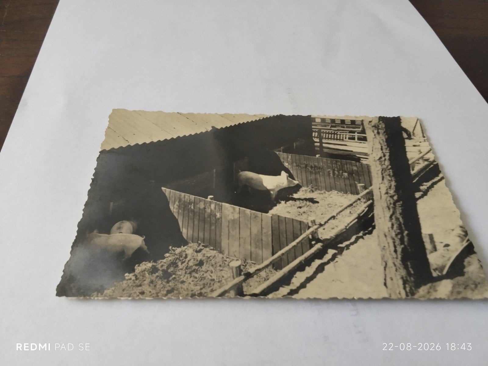 Oude foto  ANSICHTKAART Sanatorium Zonnegloren Soest, Ophalen of Verzenden