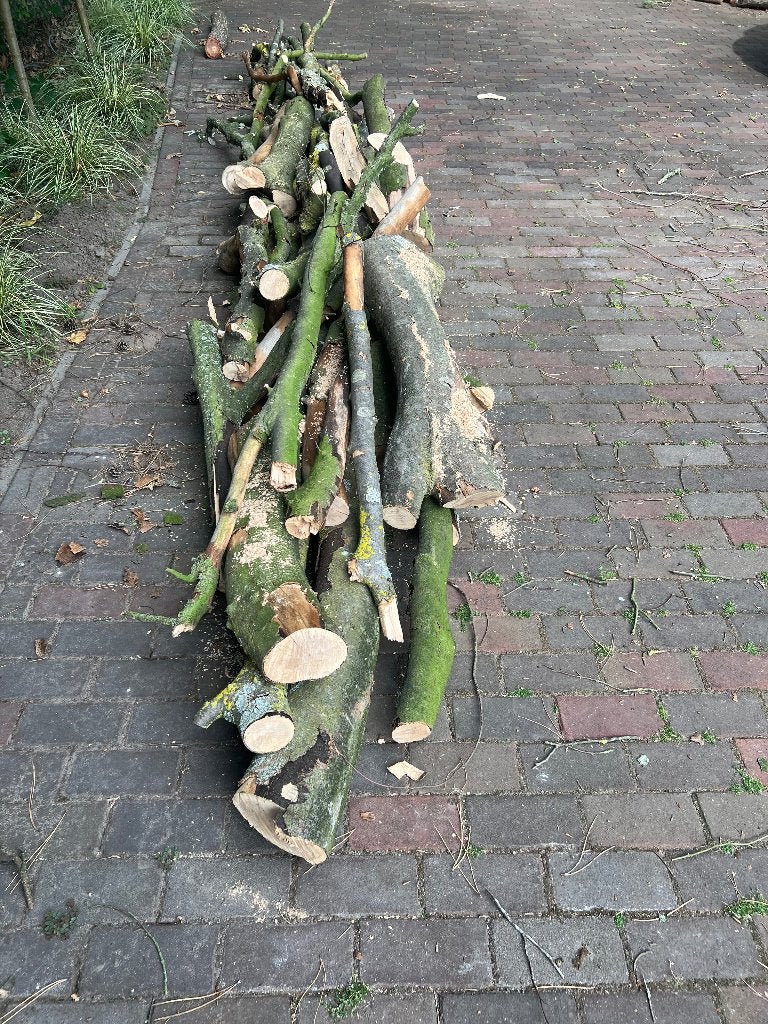 Te koop: beukenhout., Minder dan 3 m³, Ophalen, Beukenhout, Blokken