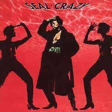 2 x Seal - Crazy+W.Orbit remix (top 2000) 2 CDsingles Nw./Or, Ophalen of Verzenden, Zo goed als nieuw, Pop