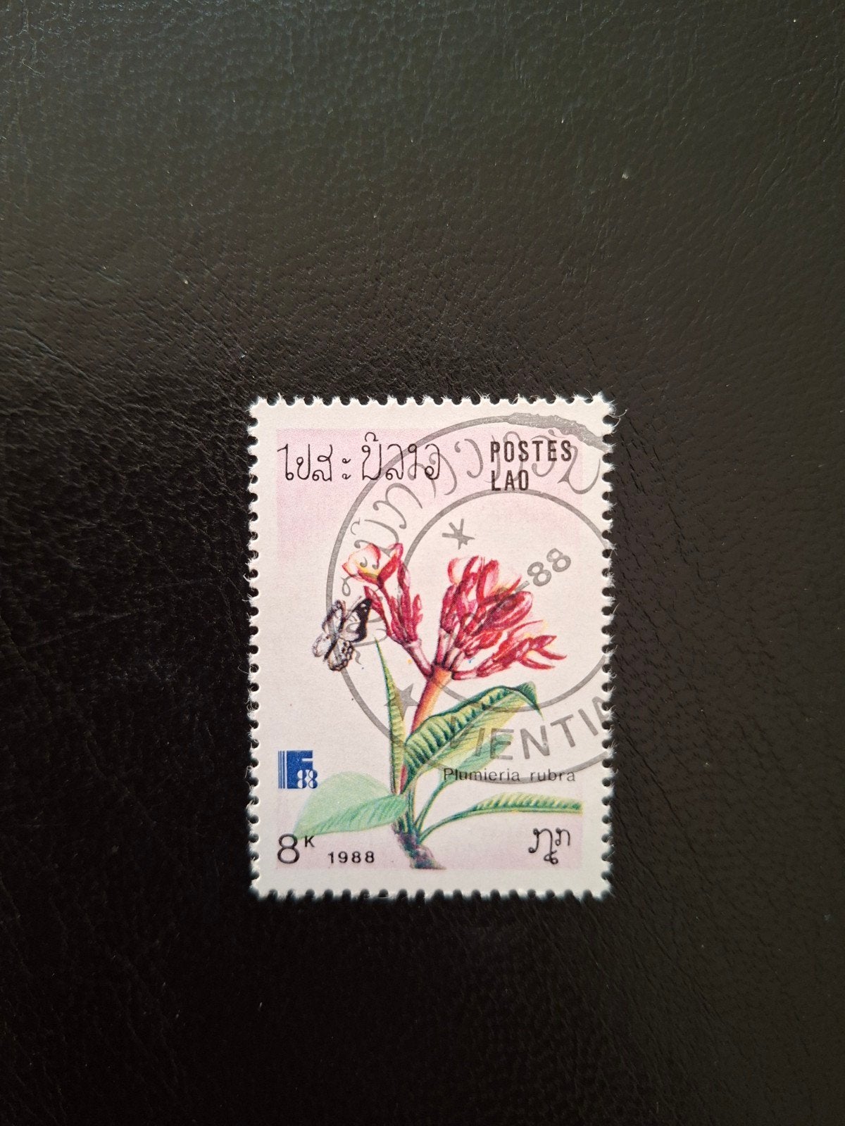 Bloem met vlinder.  Laos., Ophalen of Verzenden, Dier of Natuur