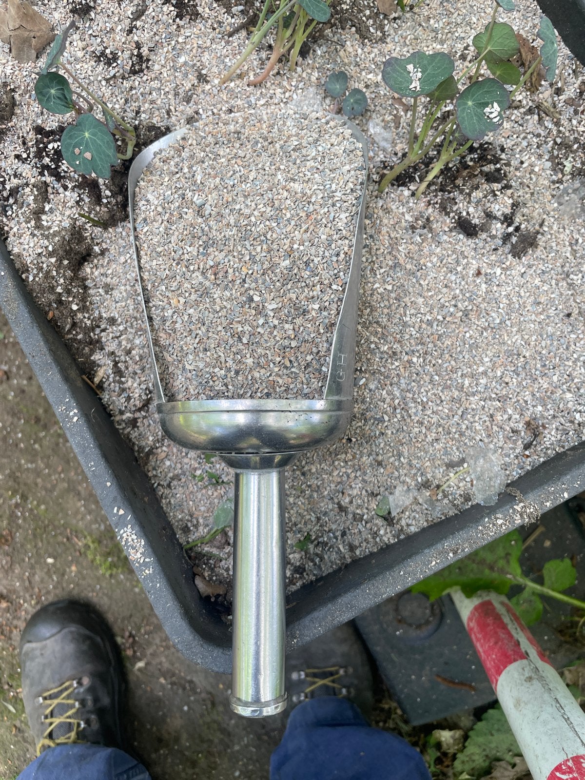 Gebroken schelpen voor tuin, paden of decoratie, Tuin en Terras, Zand, Ophalen of Verzenden, Gebruikt, Overige typen