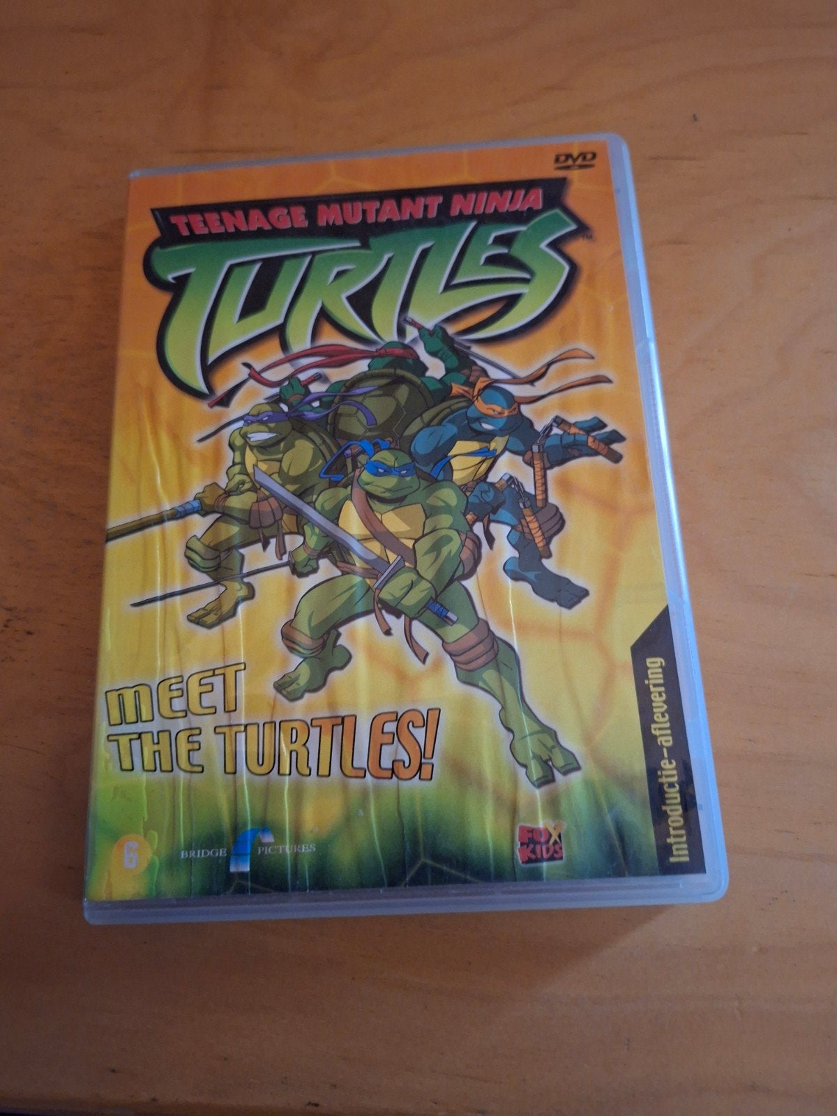 DVD Teenage Mutant Ninja Turtles - Meet the Turtles!, Ophalen of Verzenden