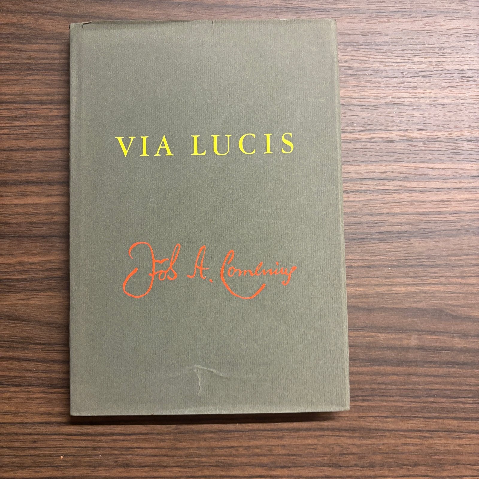 Via Lucis - Jos A. Comenius (Boek), Ophalen of Verzenden, Gelezen, Europa overig