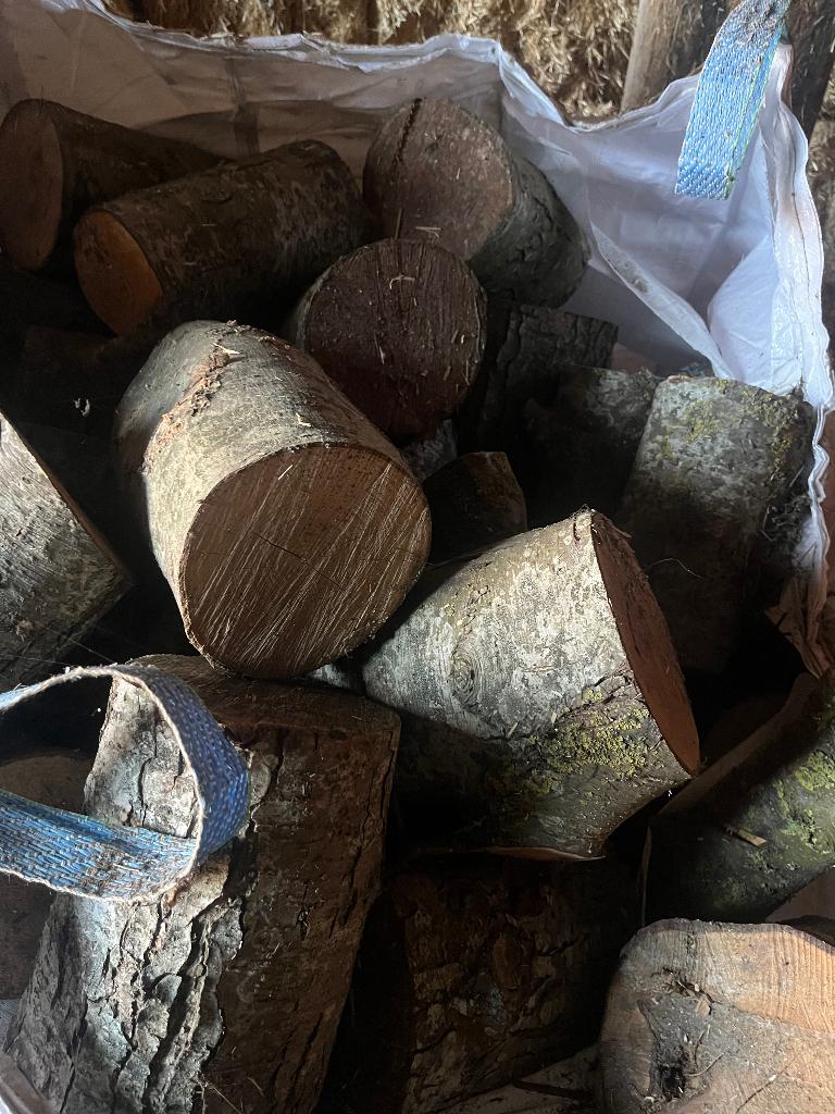 Haardhout, Tuin en Terras, Haardhout, 3 tot 6 m³, Ophalen, Overige houtsoorten, Stammen