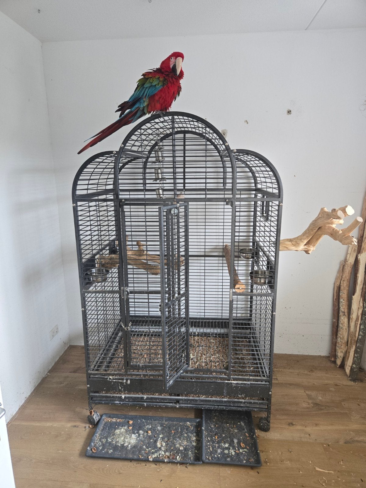 Vogelkooi voor grotere papegaaien, Strong Jolanda, Ophalen, Gebruikt, Metaal, Vogelkooi