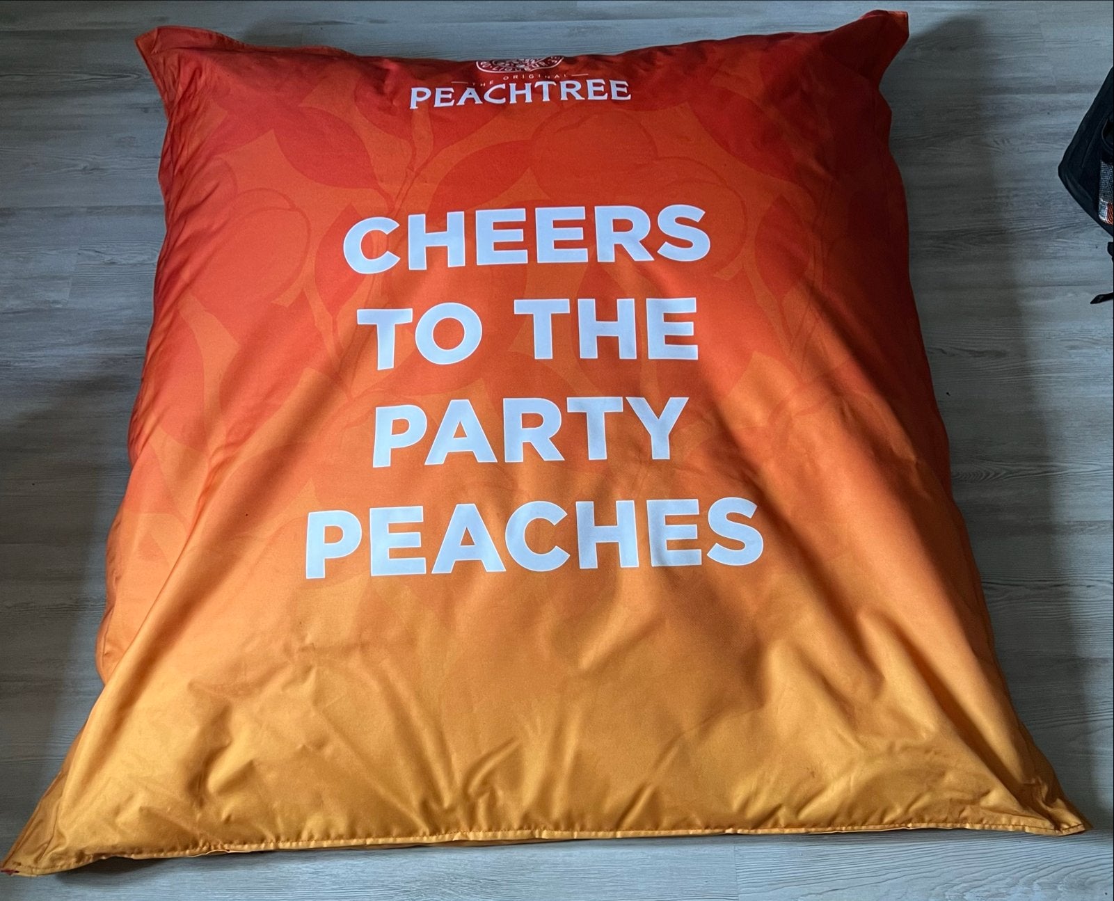 Grote Peachtree Zitzak - Cheers to the Party Peaches, Ophalen, Zo goed als nieuw, Oranje, Zitzak