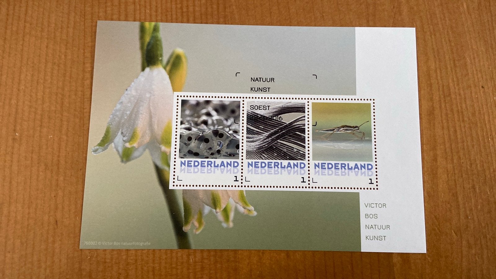 Nederland postset 2016 victor bos natuur kunst kikkerdril., Ophalen of Verzenden, Na 1940, Gestempeld