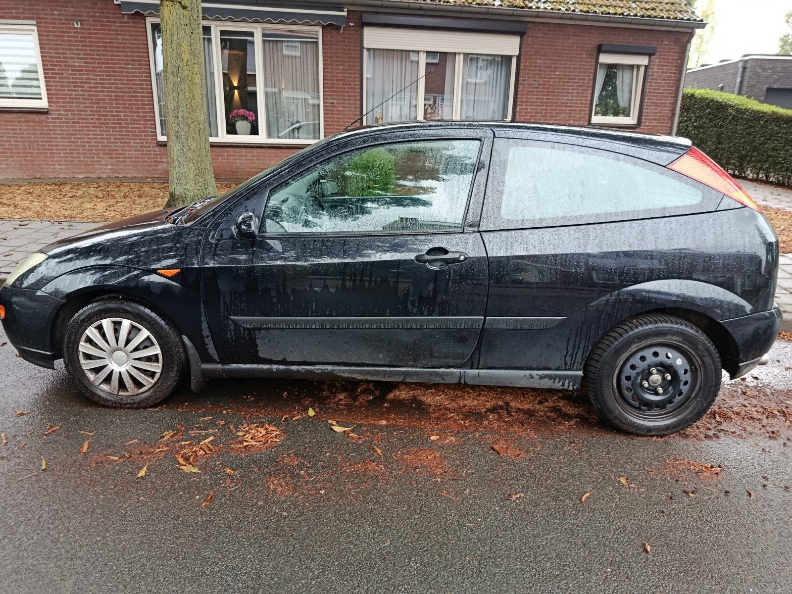 Ford Focus 1.6 I Trend 3D AUT 2000 Zwart, 1596 cc, 4 cilinders, 100 pk, Origineel Nederlands