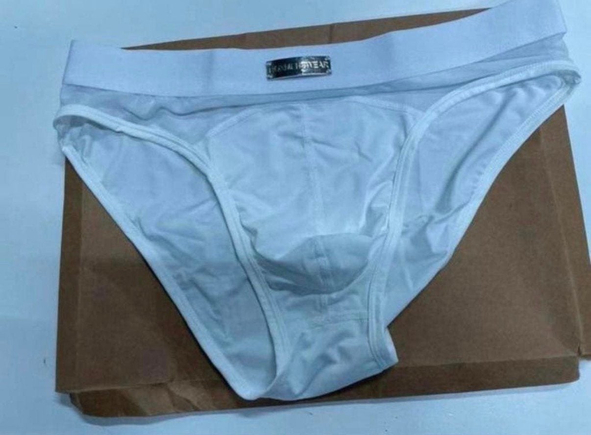 Box Nylon Mesh Brief, Kleding | Heren, Ondergoed, Verzenden, Wit, Slip