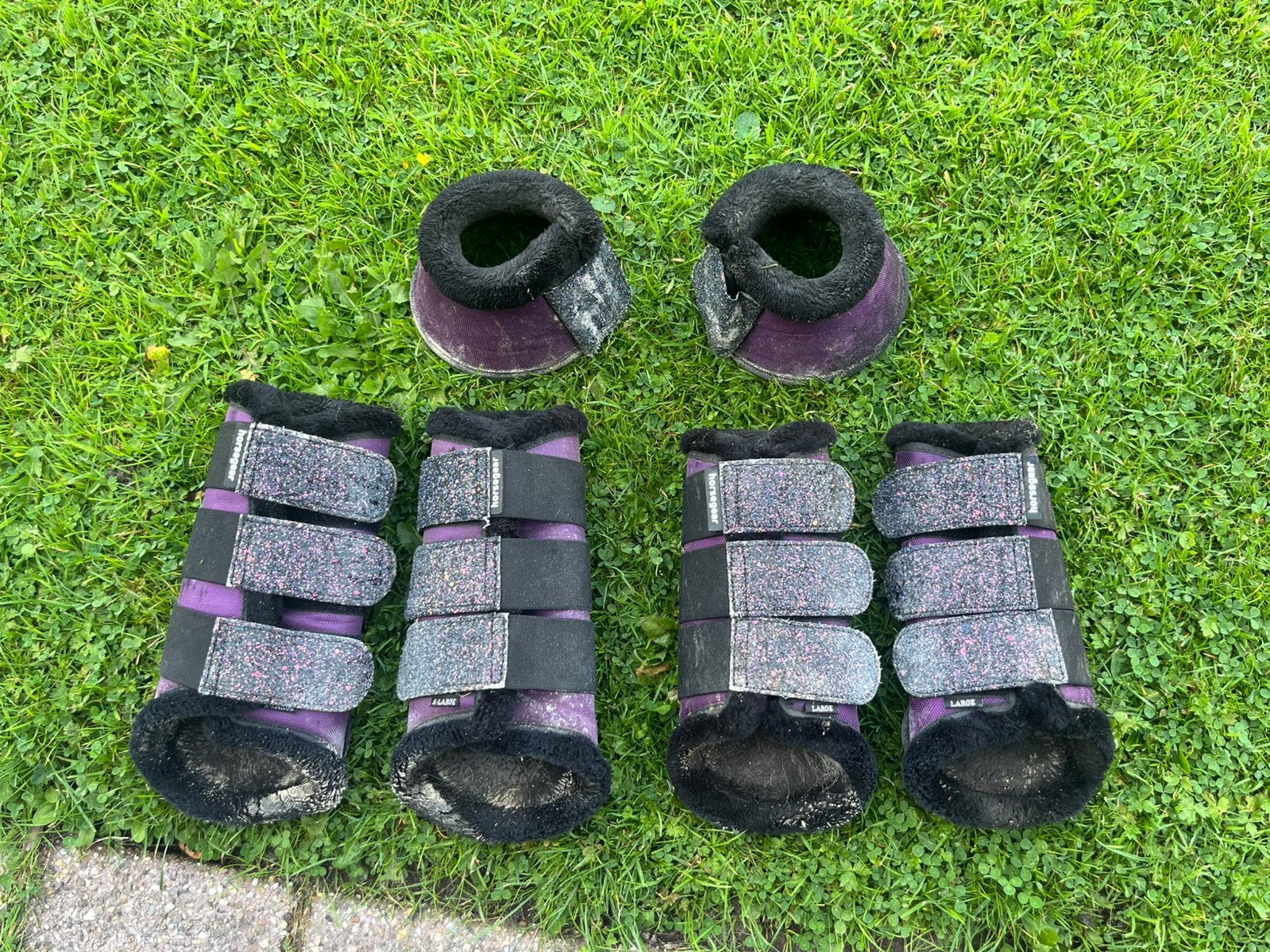 Horsegear beenbeschermers + springschoenen set, Ophalen of Verzenden, Gebruikt