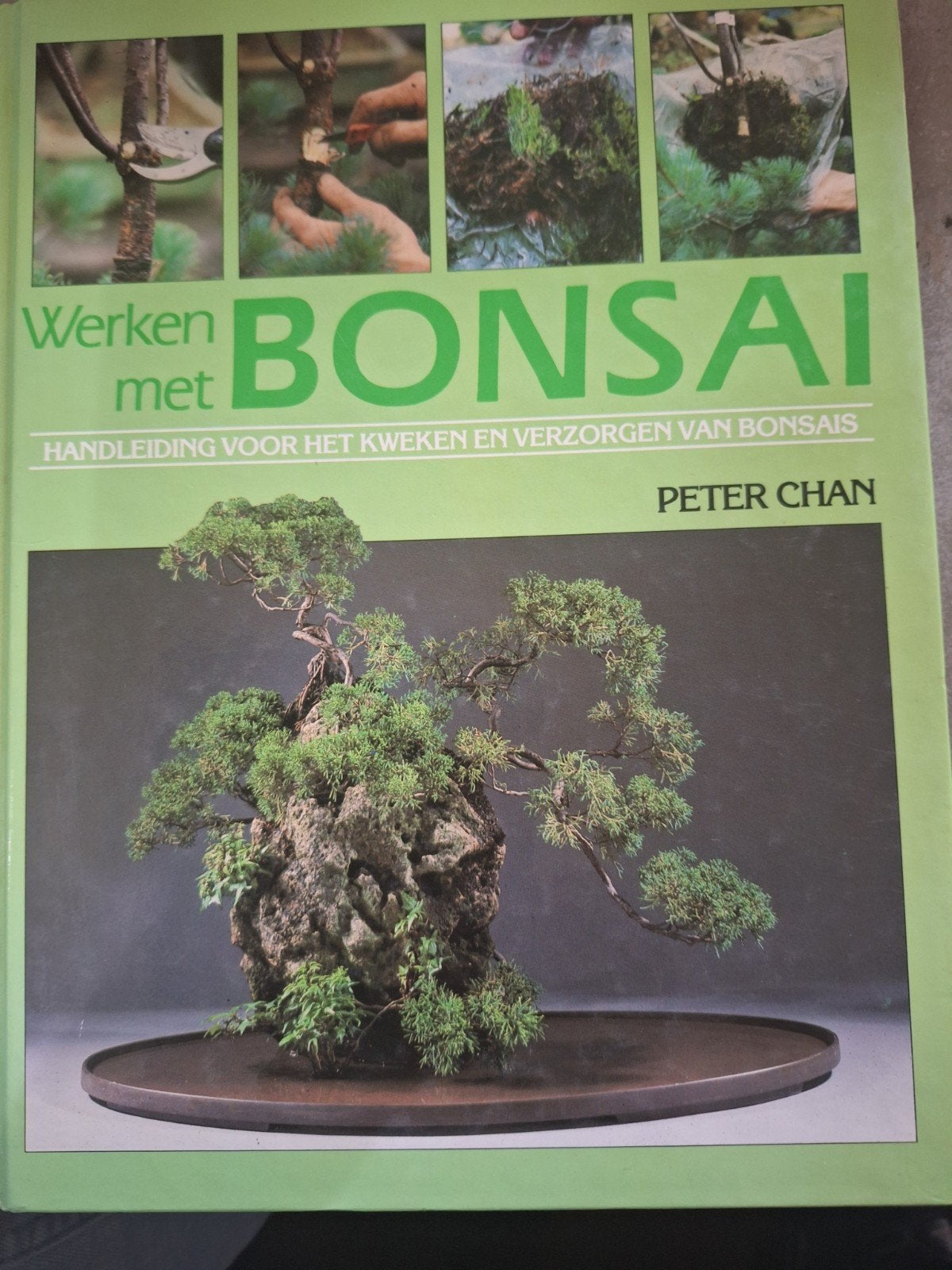 Werken met BONSAI, Ophalen, Zo goed als nieuw, Peter Chan