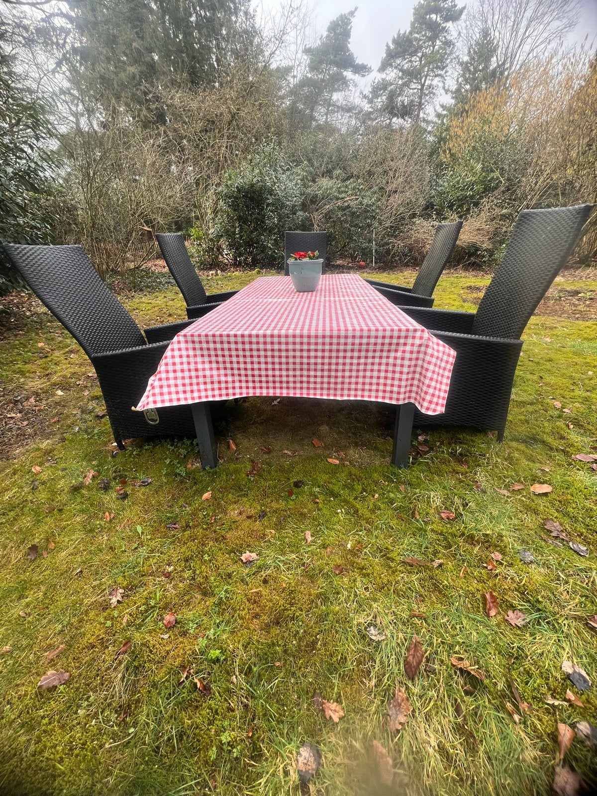 Tuinset met 5 stoelen en glazen tafel, Ophalen, Gebruikt, Eettafel, 6 zitplaatsen