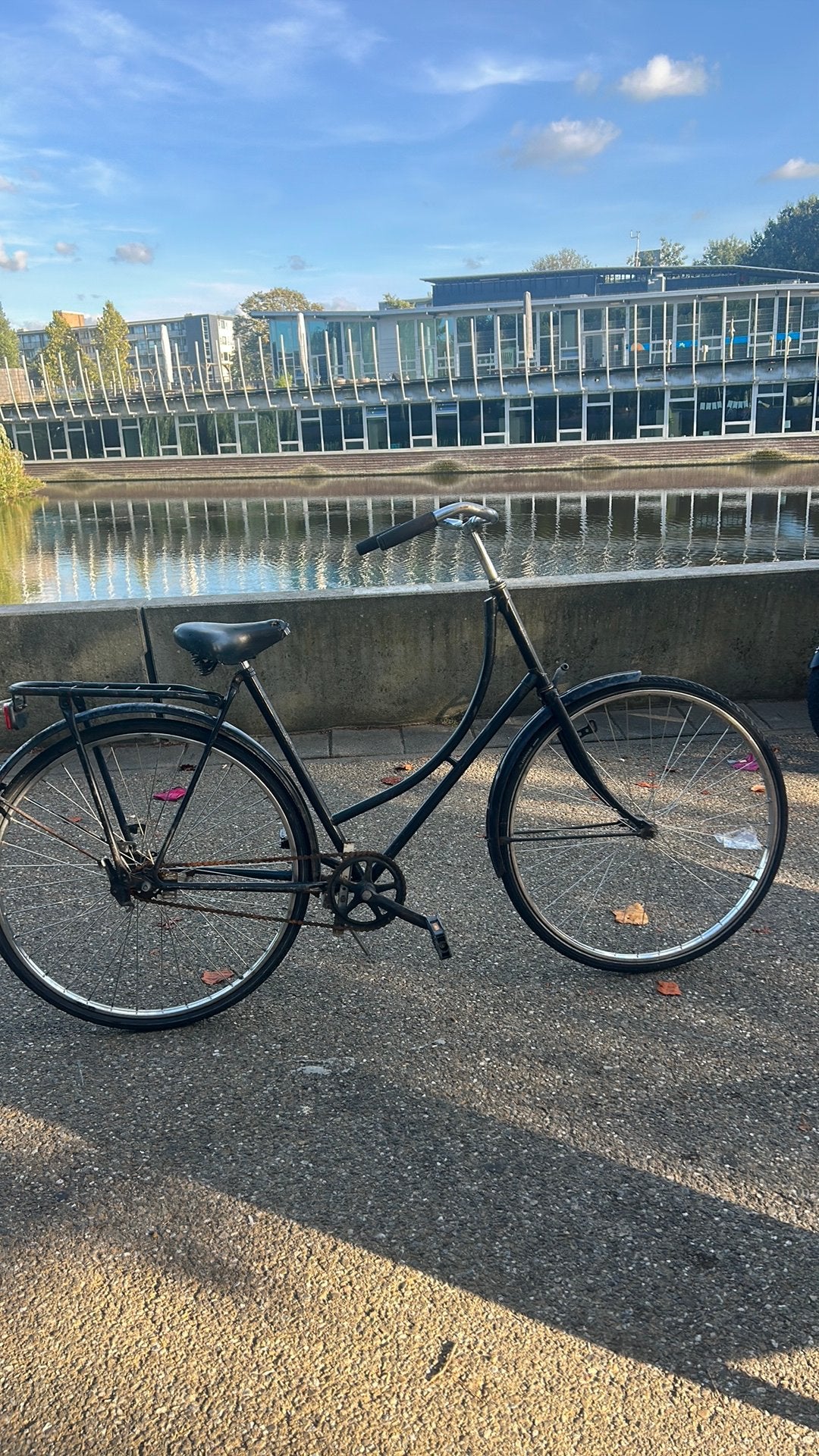 Fiets zit te lang in kelder, Ophalen, Zo goed als nieuw