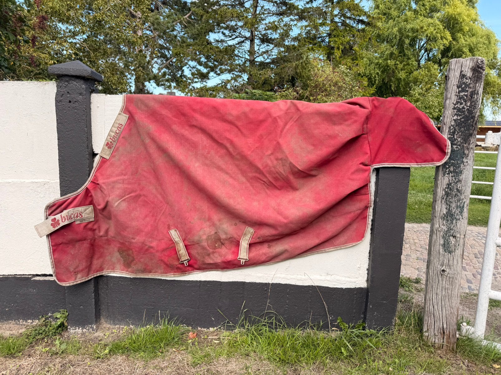 Bucas winterdeken, Bucas, Gebruikt, Rood, Ophalen of Verzenden
