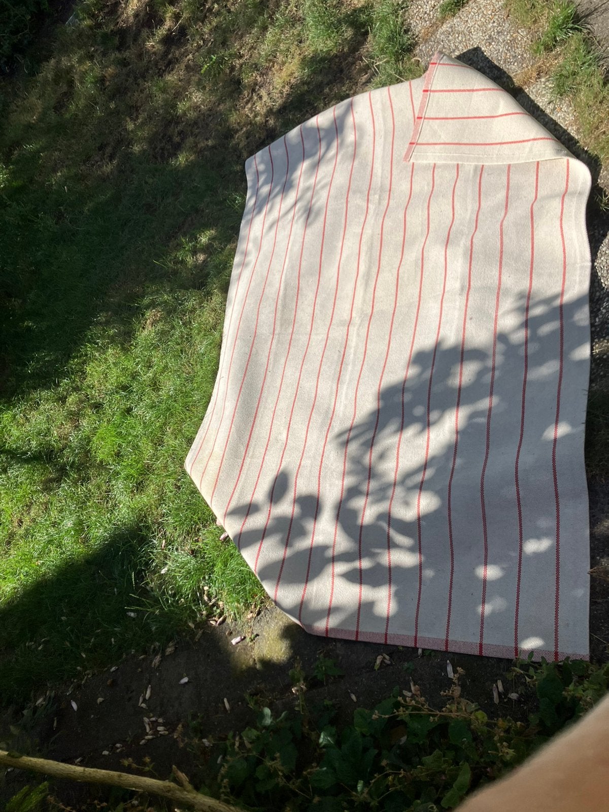 Ikea Ridstig Tapijt met vlek, Ophalen of Verzenden, Gebruikt, Rechthoekig, 200 cm of meer