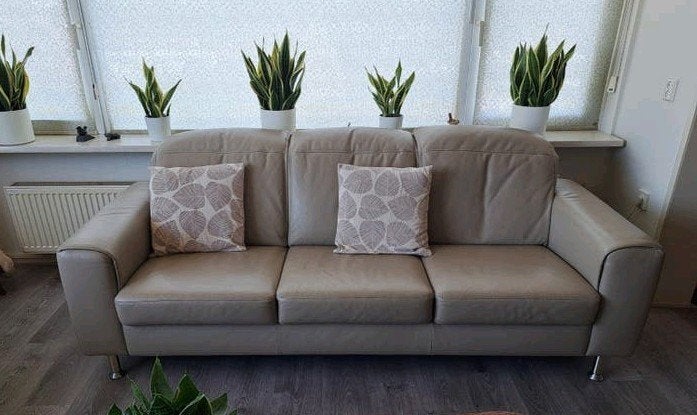 Bank met 2 fauteuils. Zo snel mogelijk ophalen, Ophalen, Gebruikt, Leer