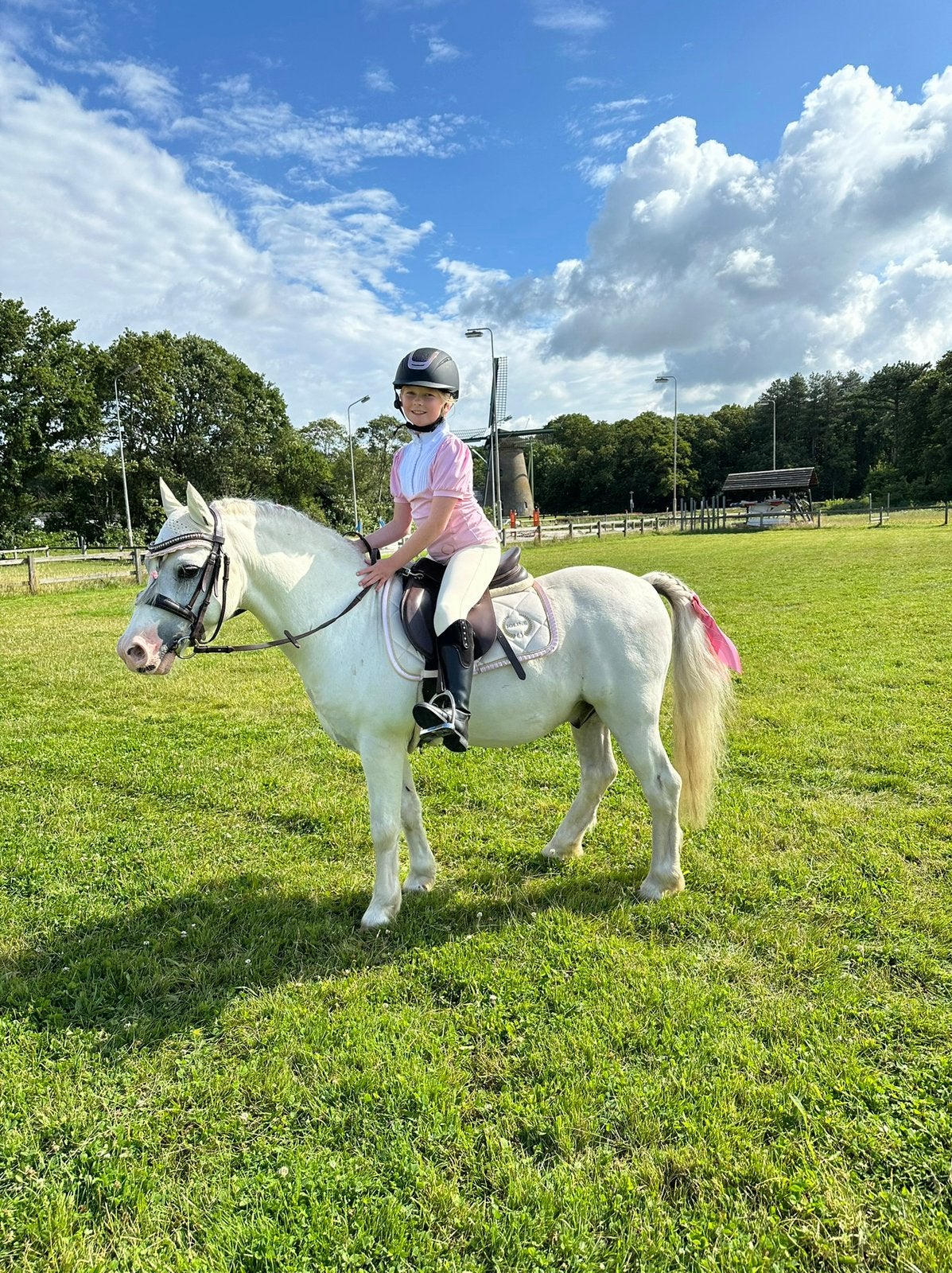 Allround B-pony spoorzicht hilfiger, Met stamboom, Ruin, Zadelmak, B pony (1.17m tot 1.27m)