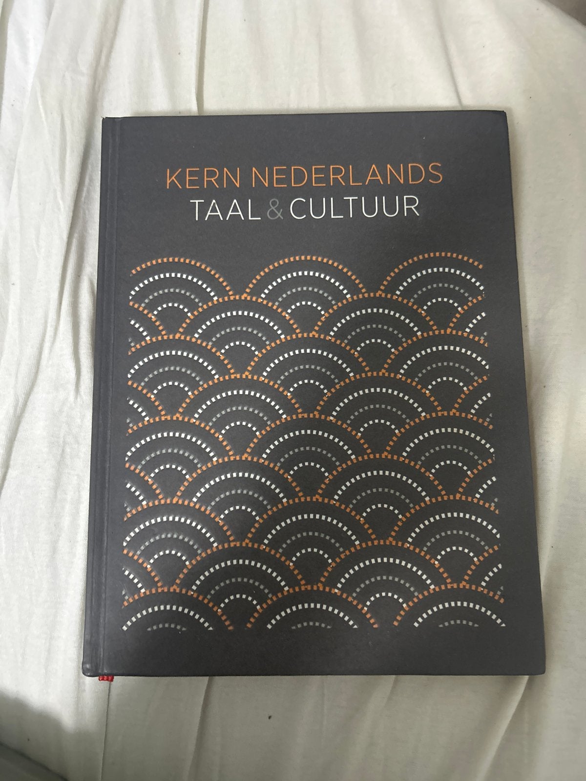 Kern Nederlands Taal & Cultuur Havo Examenjaar, Ophalen of Verzenden, Alpha, Gelezen, Overige niveaus