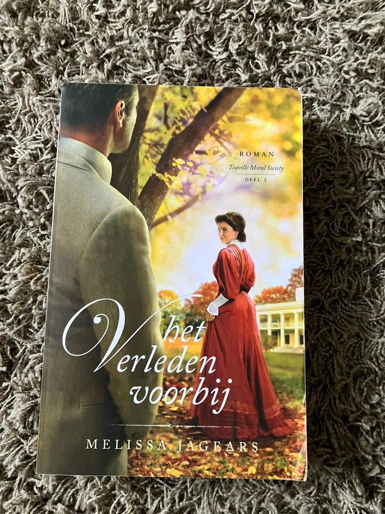 Het verleden voorbij -Melissa Jagears, Boeken, Romans, Ophalen of Verzenden, Zo goed als nieuw