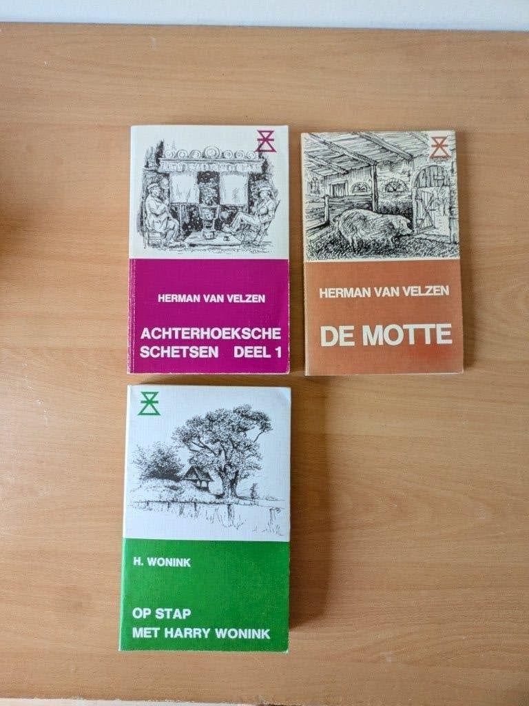 De Motte /Achterhoekse schetsen /Op stap met H. Wonink, Ophalen of Verzenden, Zo goed als nieuw, Diverse auteurs