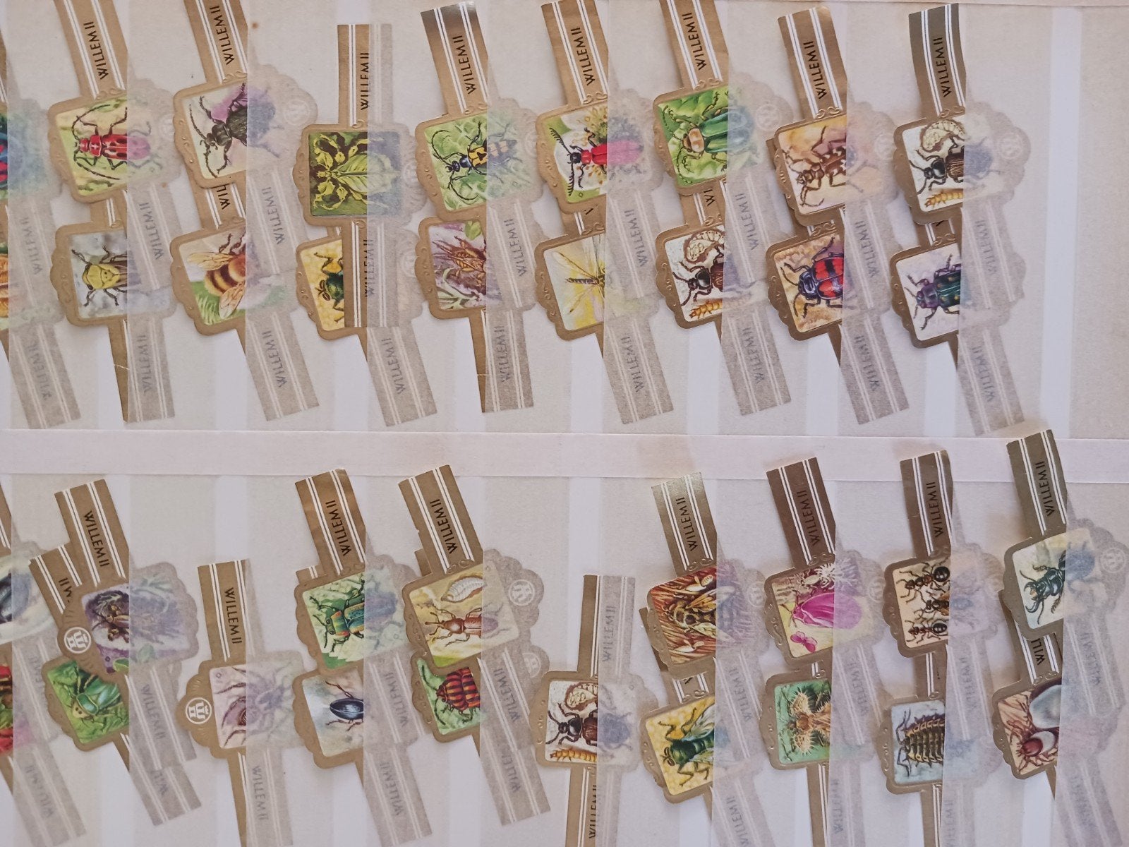 sigarenbandjes willem 2, Verzenden, Zo goed als nieuw, Sigarenbandjes