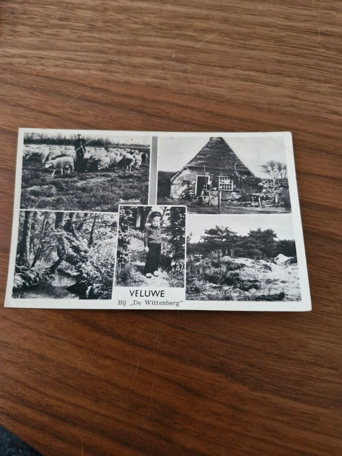 079  ansichtkaart Veluwe - Bij "De Wittenberg" - Gelopen 195, Ophalen of Verzenden, 1940 tot 1960, Gelopen, Gelderland