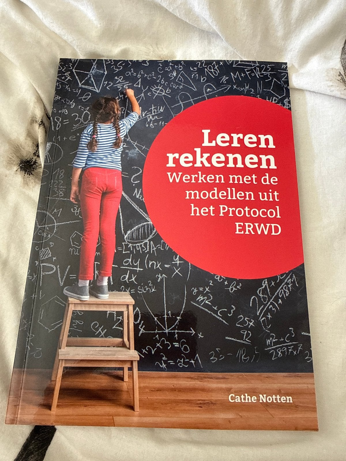 Leren rekenen: Werken met modellen uit Protocol ERWD, Ophalen of Verzenden, Beta, Zo goed als nieuw, LBO