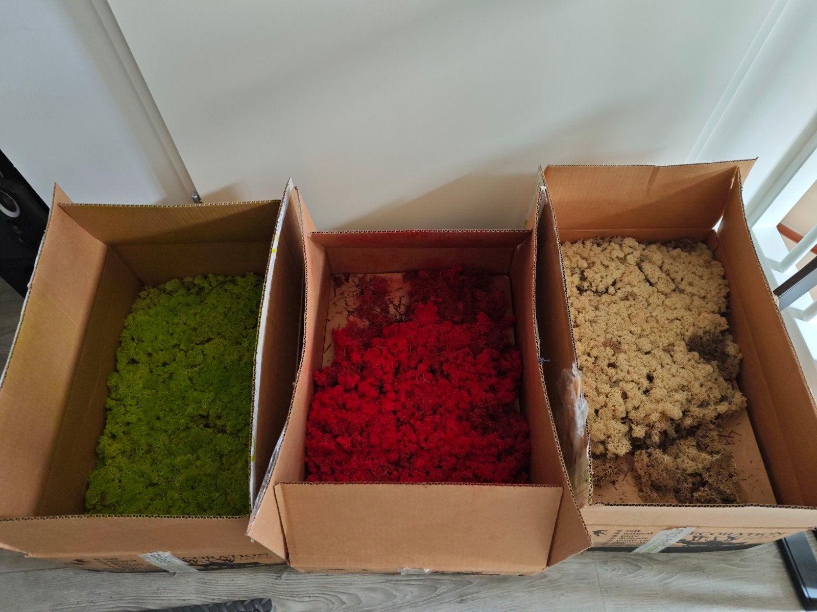 Decoratief rendiermos in diverse kleuren, Nieuw, Meerkleurig, Natuurlijk materiaal, Knutselmateriaal