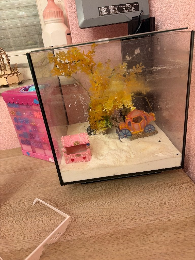 Aquarium, Dieren en Toebehoren, Ophalen, Gebruikt, Superfish, Inclusief deksel