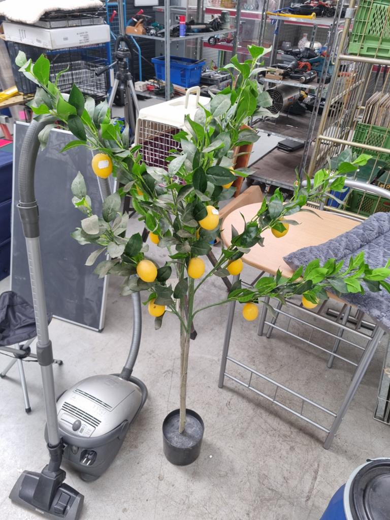 Kunst Citroenboom - Realistische Decoratie, Ophalen, Binnen, Onderhoudsvrij, Kunstplant