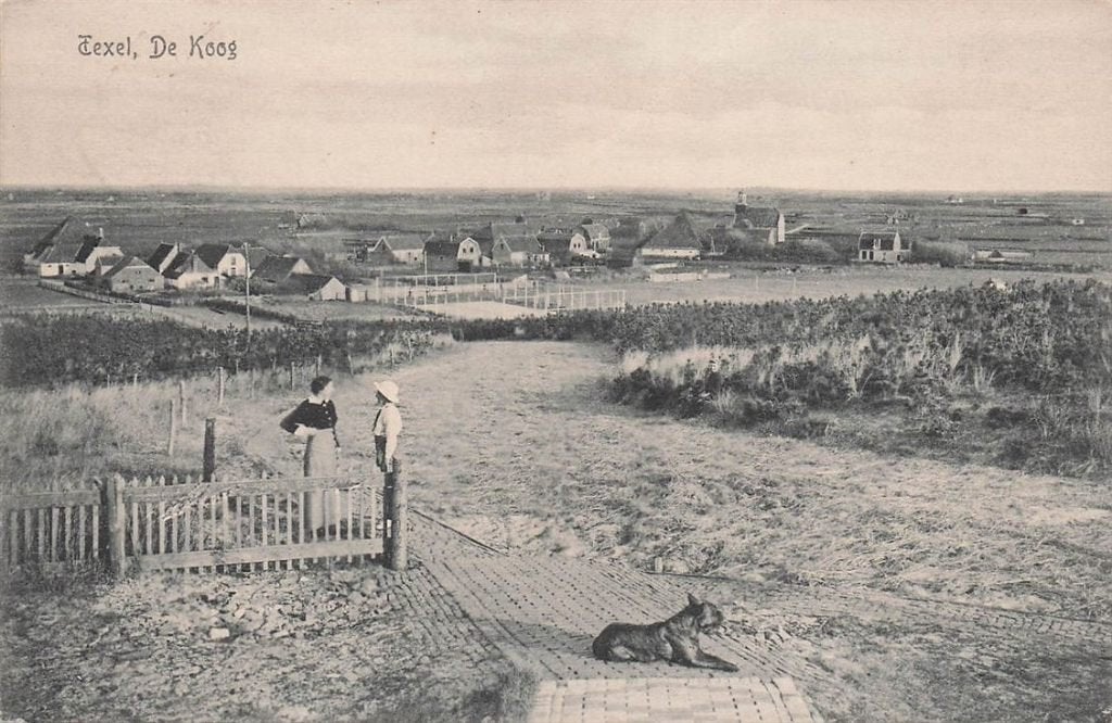 703-124-039 Texel De Koog, Verzenden, Voor 1920, Noord-Holland
