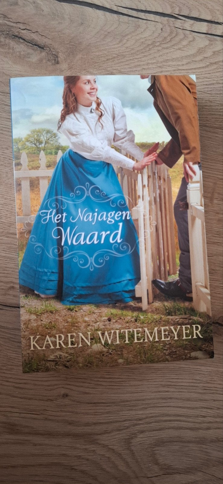 Het Najagen Waard - Karen Witemeyer (Roman), Boeken, Romans, Ophalen of Verzenden, Zo goed als nieuw, Karen Witemeyer, Amerika