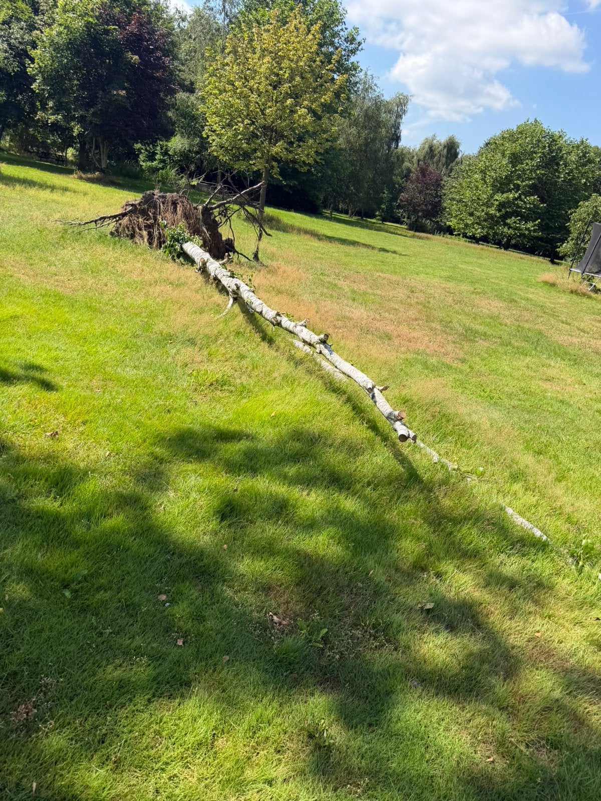 Haardhout 2 berienbomen, Minder dan 3 m³, Ophalen