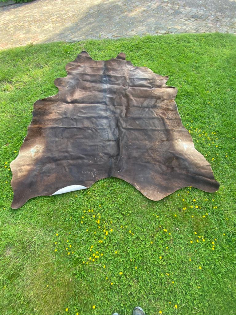Koeienhuid, Ophalen, Gebruikt, 100 tot 150 cm, Bruin