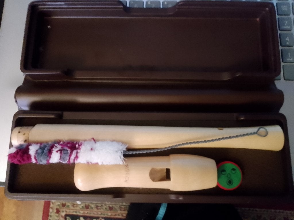 blokfluit moech    in etui /doos met raggel en vaseline, Muziek en Instrumenten, Ophalen of Verzenden, Zo goed als nieuw, Alt