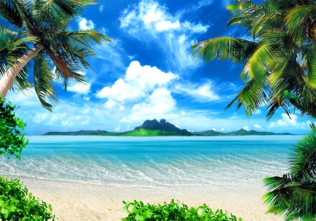 Strand fotobehang Tropical beach XL, VLIES *Muurdeco4kids, Verzenden, Minder dan 10 m², Strandbehang, palmboom, vakantie