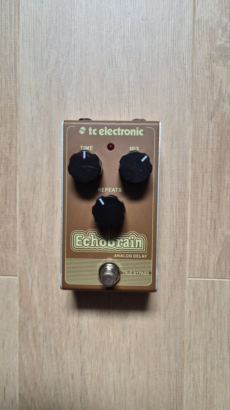 TC Electronic Echobrain Analoog Delay Pedaal, Muziek en Instrumenten, Ophalen of Verzenden, Gebruikt, Delay of Echo