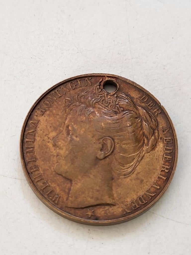 Bronzen inhuldigingspenning Wilhelmina 1898, Ophalen of Verzenden, Brons